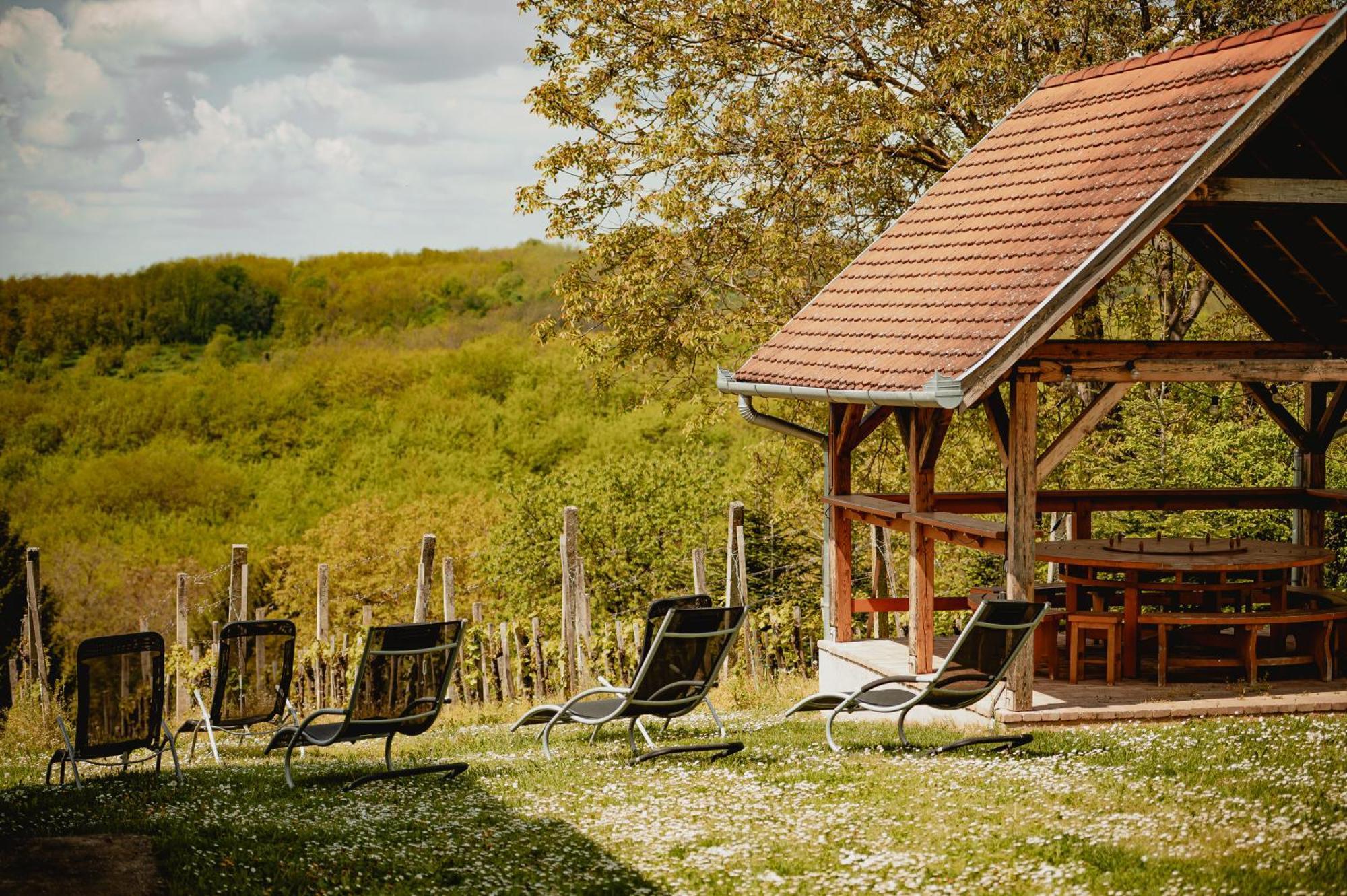 Foerhenc Wine House & Guesthouses I-Ii-Iii 나지카니자 외부 사진