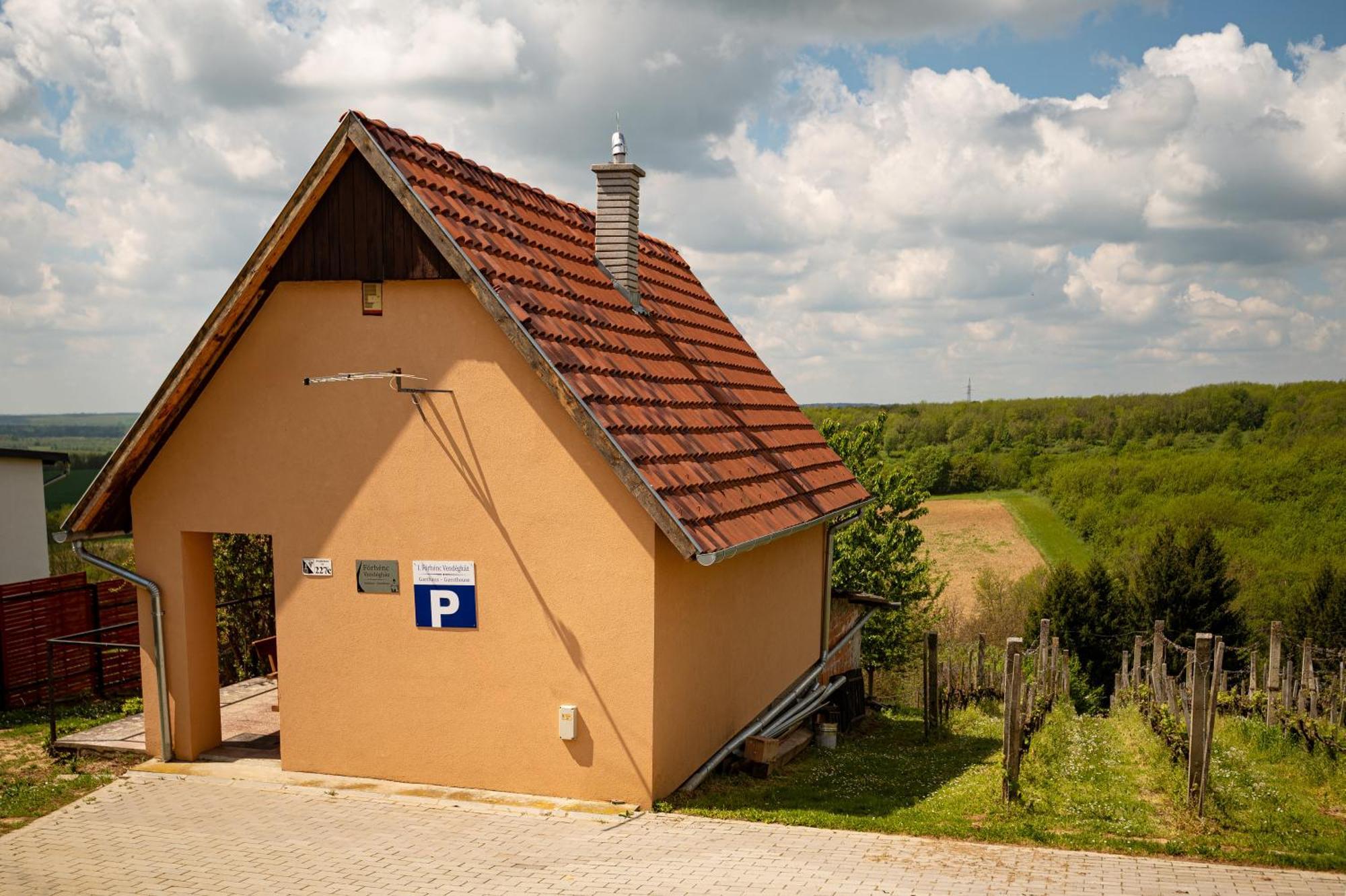 Foerhenc Wine House & Guesthouses I-Ii-Iii 나지카니자 외부 사진