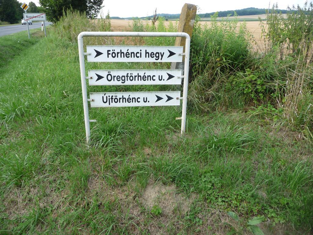 Foerhenc Wine House & Guesthouses I-Ii-Iii 나지카니자 외부 사진