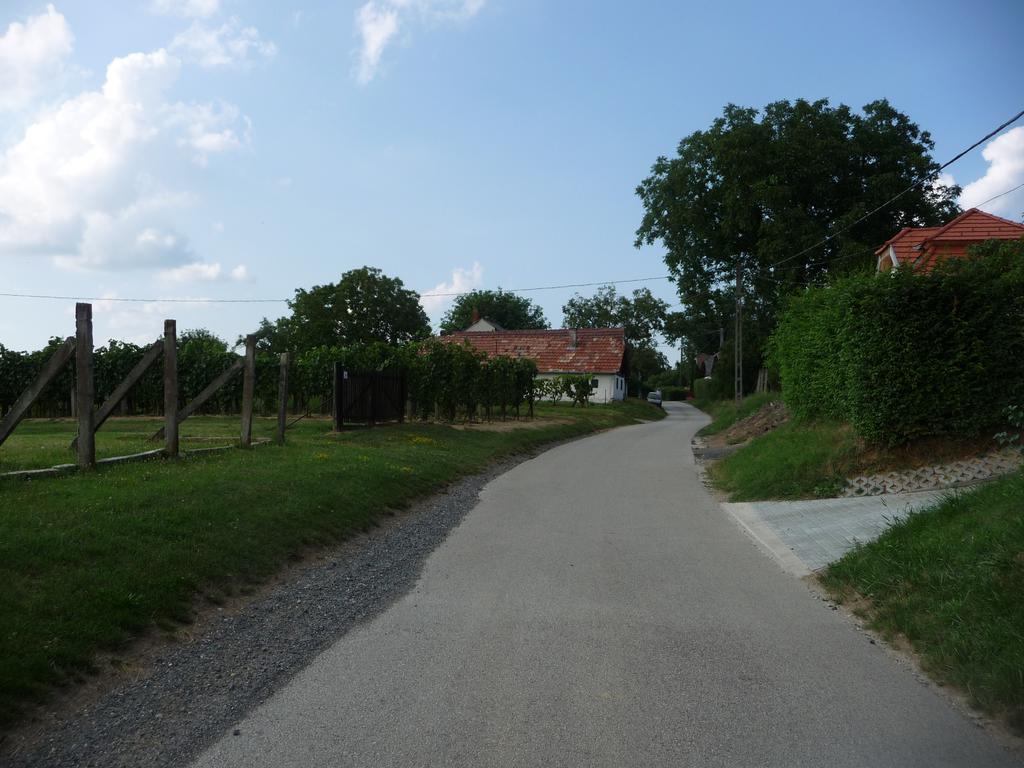 Foerhenc Wine House & Guesthouses I-Ii-Iii 나지카니자 외부 사진